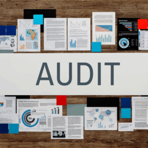 Audit